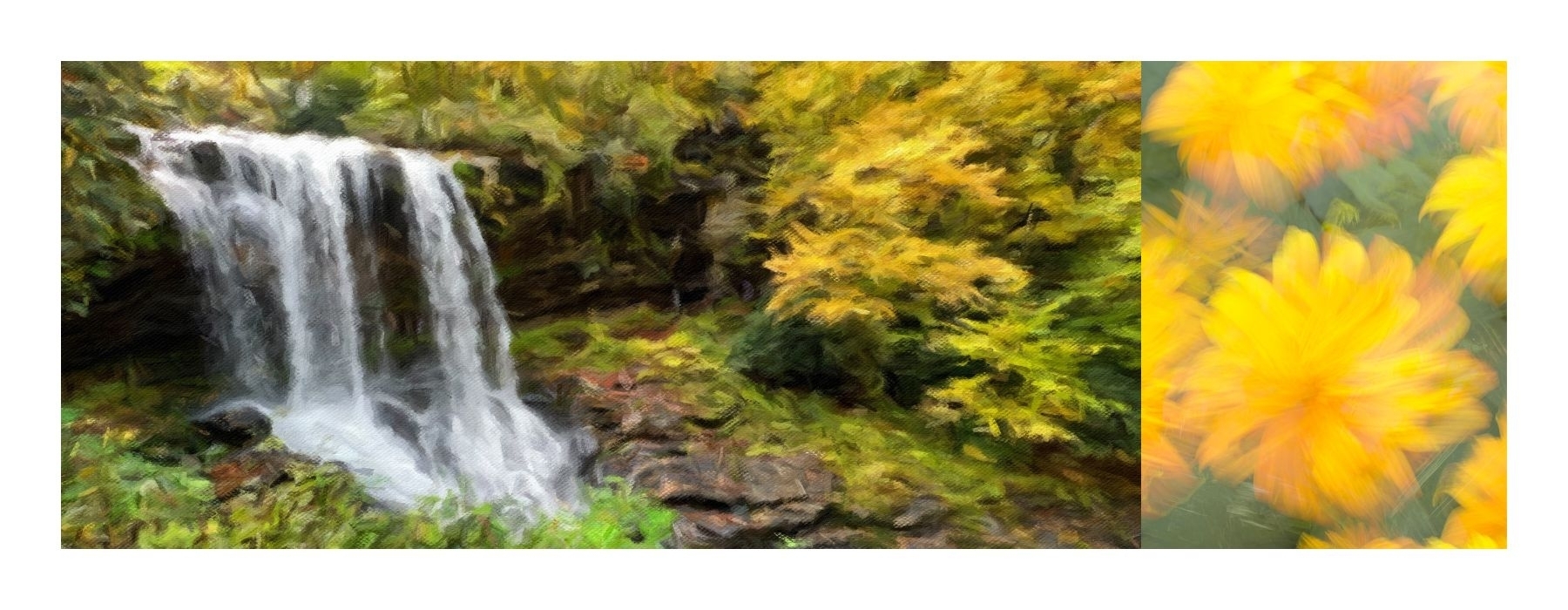 iPhone Artistry : Mastering Photography Through Your Lens with Gwen Greenglass