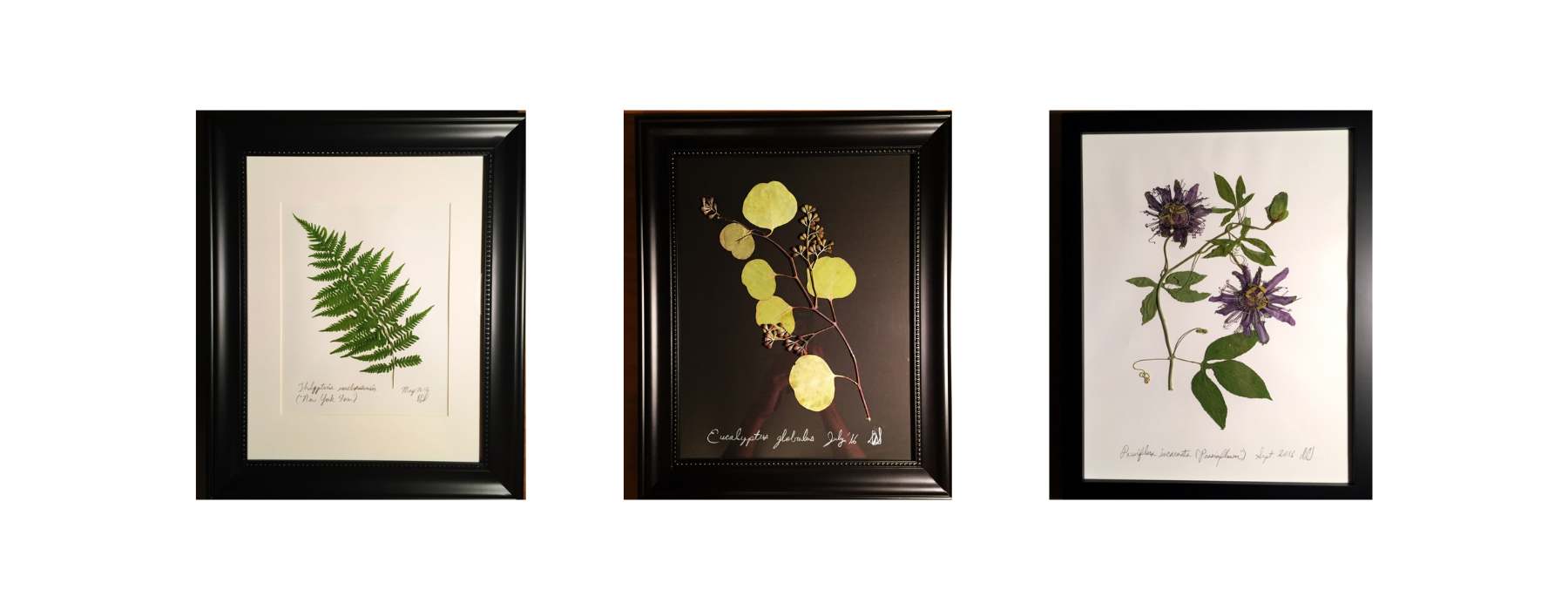 Sotheby's Artist Reception with Southern Botanics